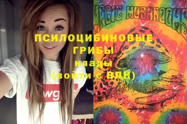 твердый Богданович