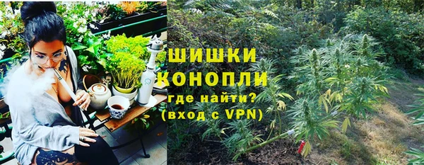 твердый Богданович