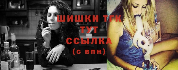 твердый Богданович
