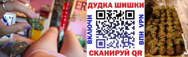 где найти наркотики  Болхов  Шишки марихуана Amnesia 
